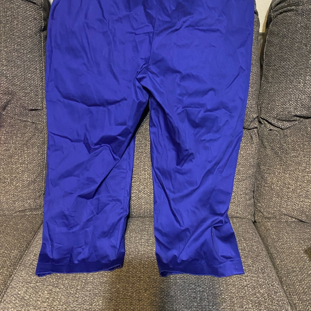 Catherines Royal Blue Slimmer Capri - Picture 2 of 4